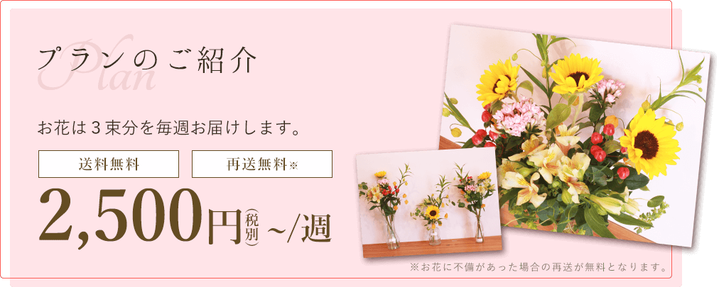 お花の定期便 新鮮なお花を毎週お届け 福井の花屋 フラワージョイ
